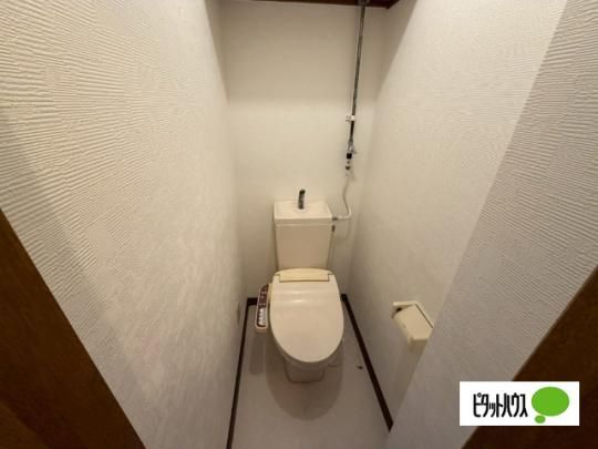 �y���̑��z�@�g�C��