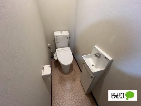 �y���̑��z�@�g�C��