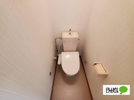 �y���̑��z�@�g�C��