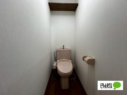 �y���̑��z�@�g�C��