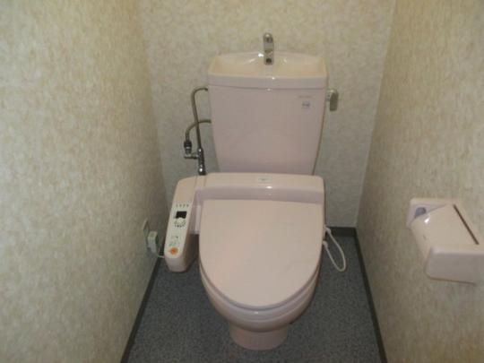 �y���̑��z�@�g�C��