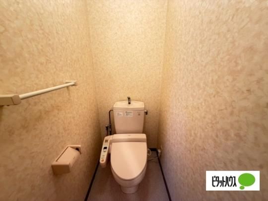 �y���̑��z�@�g�C��