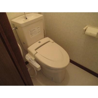 �y���̑��z�@�g�C��