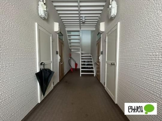 �y�����O�ρz�@���r�[