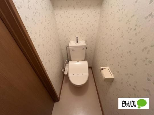 �y���̑��z�@�g�C��