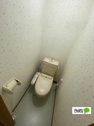 �y���̑��z�@�g�C��