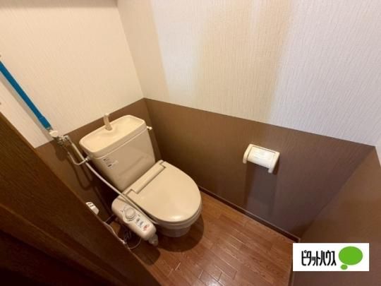 �y���̑��z�@�g�C��