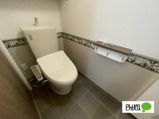 �y���̑��z�@�g�C��