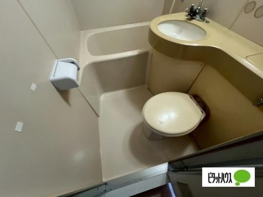 �y���̑��z�@�g�C��