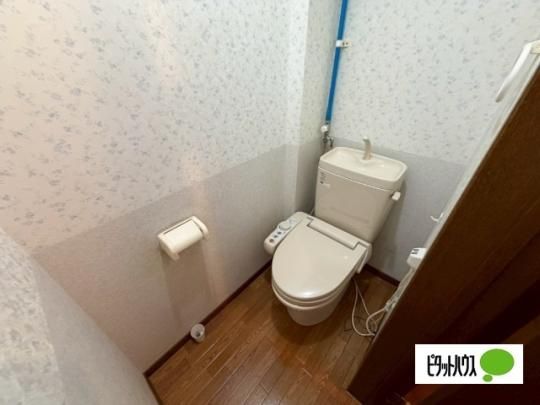 �y���̑��z�@�g�C��