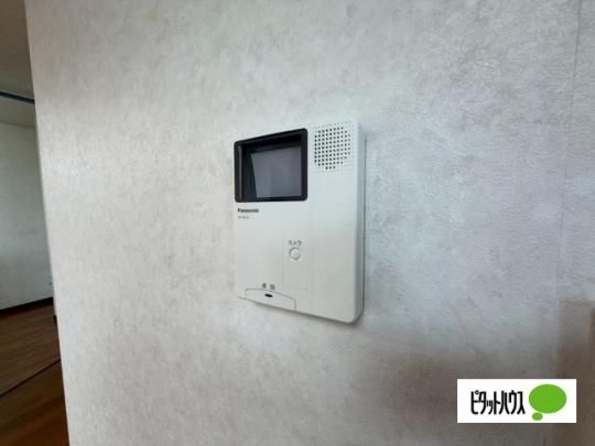 �y���̑��z�@�Z�L�����e�B