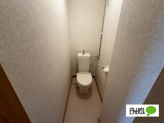 �y���̑��z�@�g�C��
