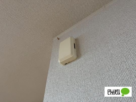 �y���̑��z�@�Z�L�����e�B