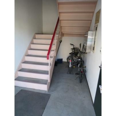 �y�����O�ρz�@�G���g�����X