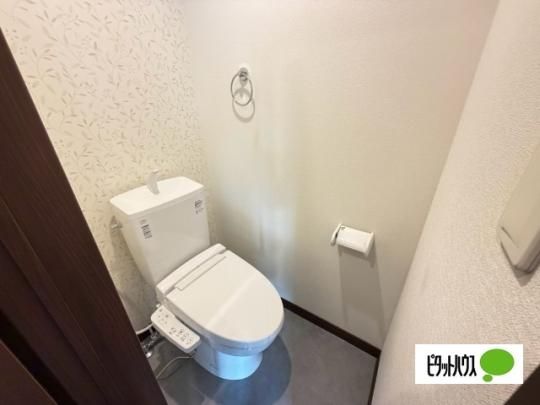 �y���̑��z�@�g�C��
