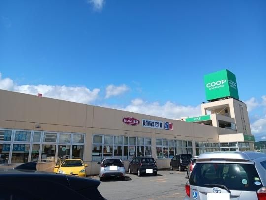 �y���Ӂz�@�R�[�v�����ۂ뒉�a�X�F250m