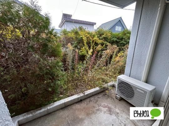 �y���̑��z�@�o���R�j�[