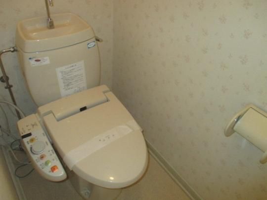 �y���̑��z�@�g�C��