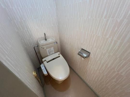 �y���̑��z�@�g�C��