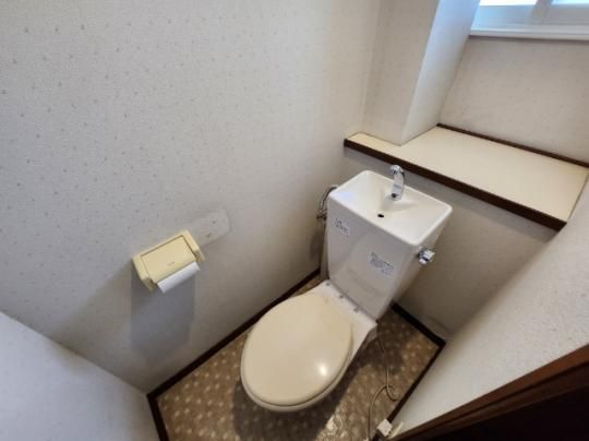 �y���̑��z�@�g�C��