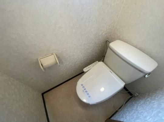 �y���̑��z�@�g�C��