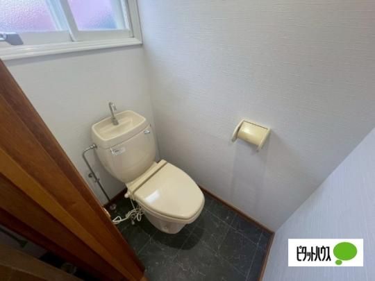 �y���̑��z�@�g�C��