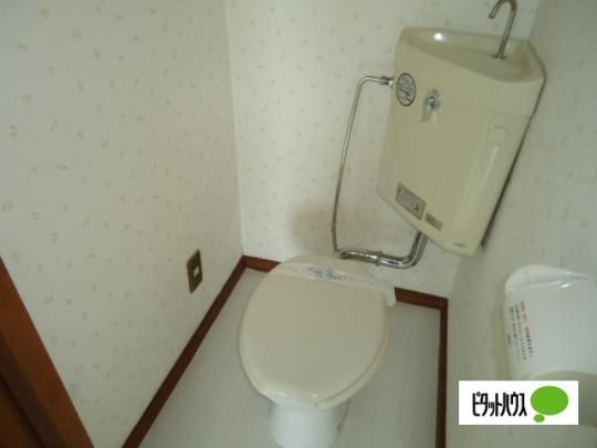 �y���̑��z�@�g�C��