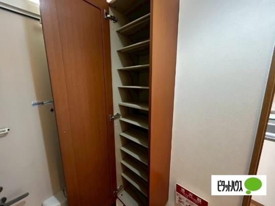�y���̑��z�@���[