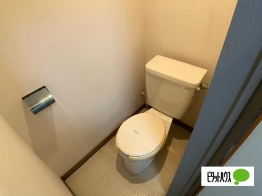 �y���̑��z�@�g�C��