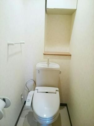 �y���̑��z�@�g�C��