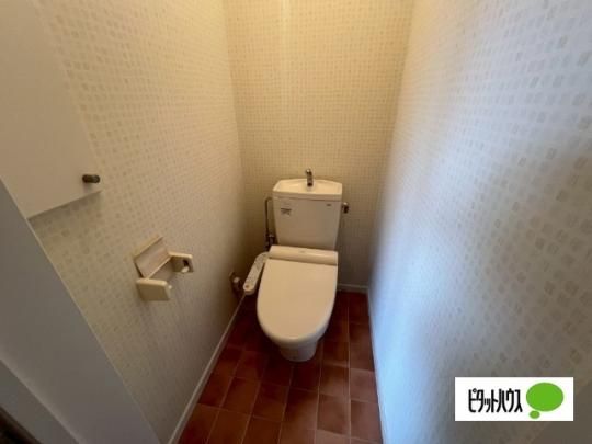 �y���̑��z�@�g�C��