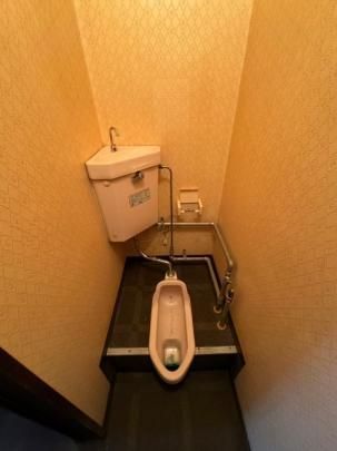 �y���̑��z�@�g�C��