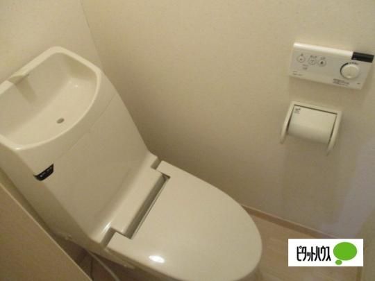�y���̑��z�@�g�C��