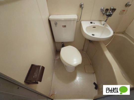 �y���̑��z�@�g�C��