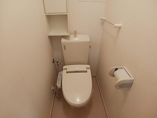 �y���̑��z�@�g�C��