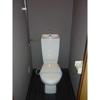 �y���̑��z�@�g�C��