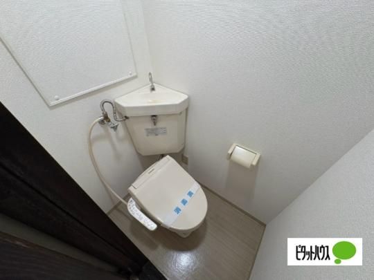 �y���̑��z�@�g�C��