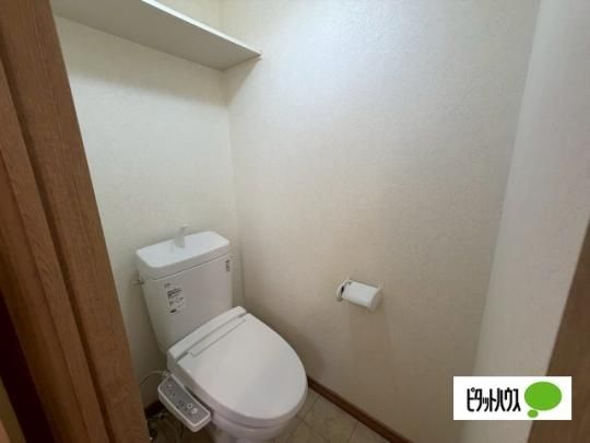 �y���̑��z�@�g�C��