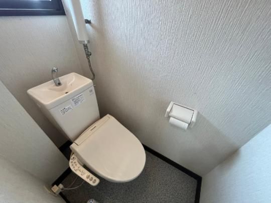�y���̑��z�@�g�C��