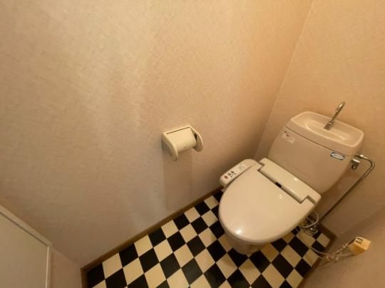 �y���̑��z�@�g�C��