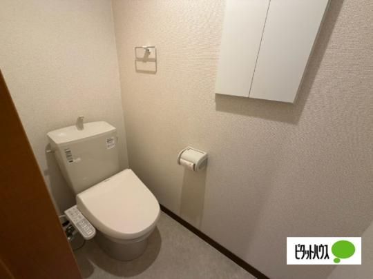 �y���̑��z�@�g�C��