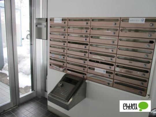 �y�����O�ρz�@���r�[
