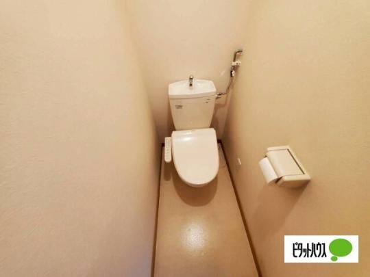 �y���̑��z�@�g�C��