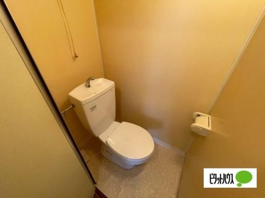 �y���̑��z�@�g�C��