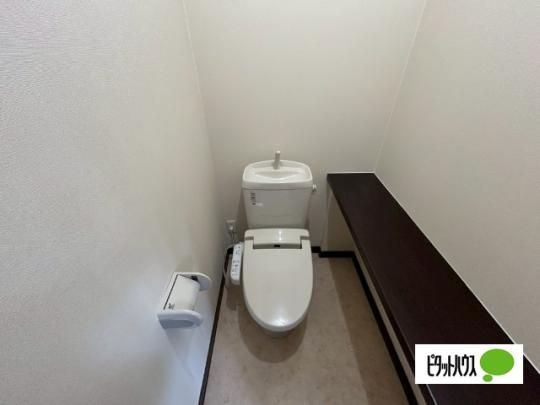 �y���̑��z�@�g�C��