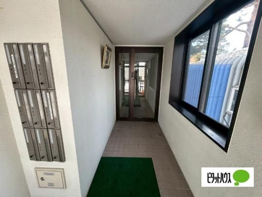 �y�����O�ρz�@���r�[