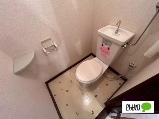 �y���̑��z�@�g�C��