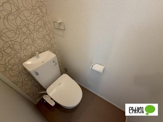�y���̑��z�@�g�C��