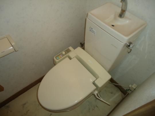 �y���̑��z�@�g�C��