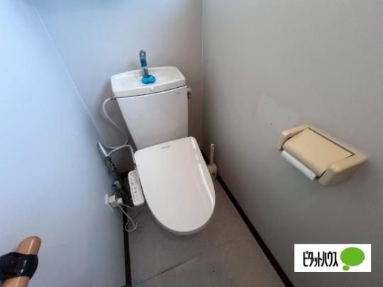 �y���̑��z�@�g�C��